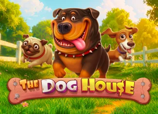 The Dog House Oyun Taktikleri ve Stratejiler | alfabahis